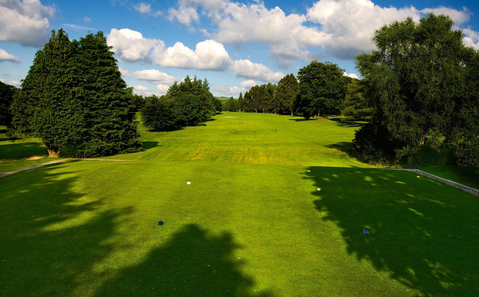 View from the tee down a tree-lined fairway at Mallow Golf Club